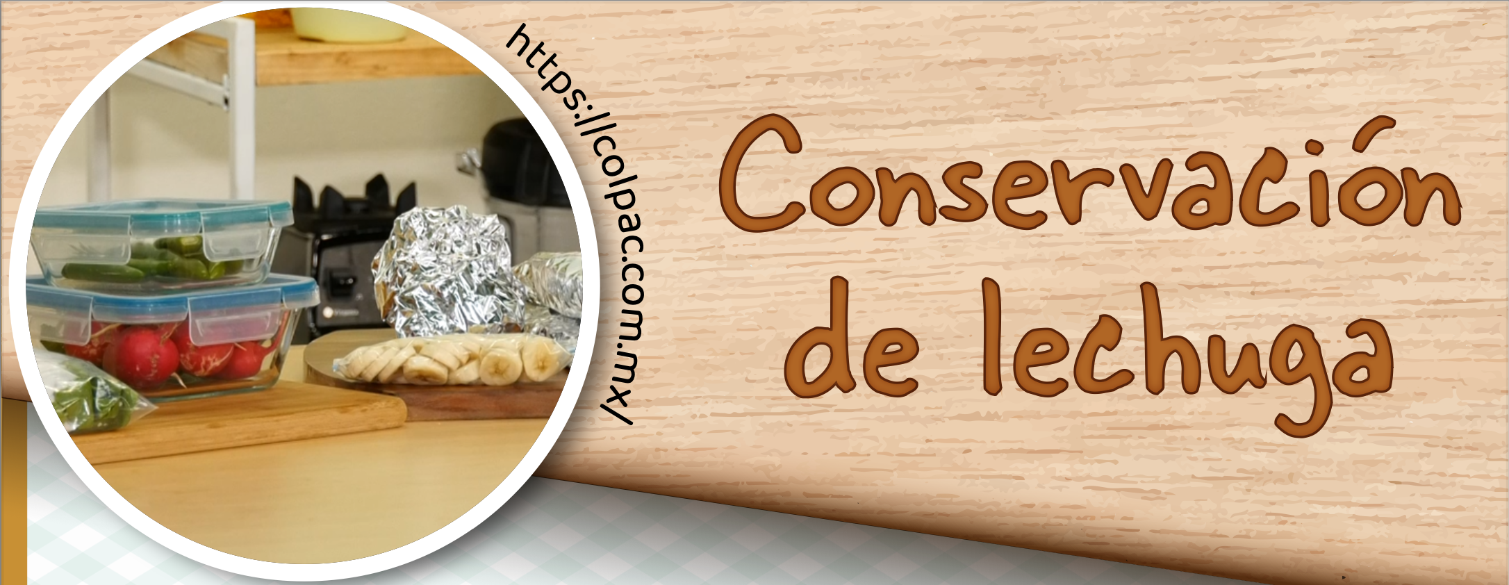 Conservación de lechuga